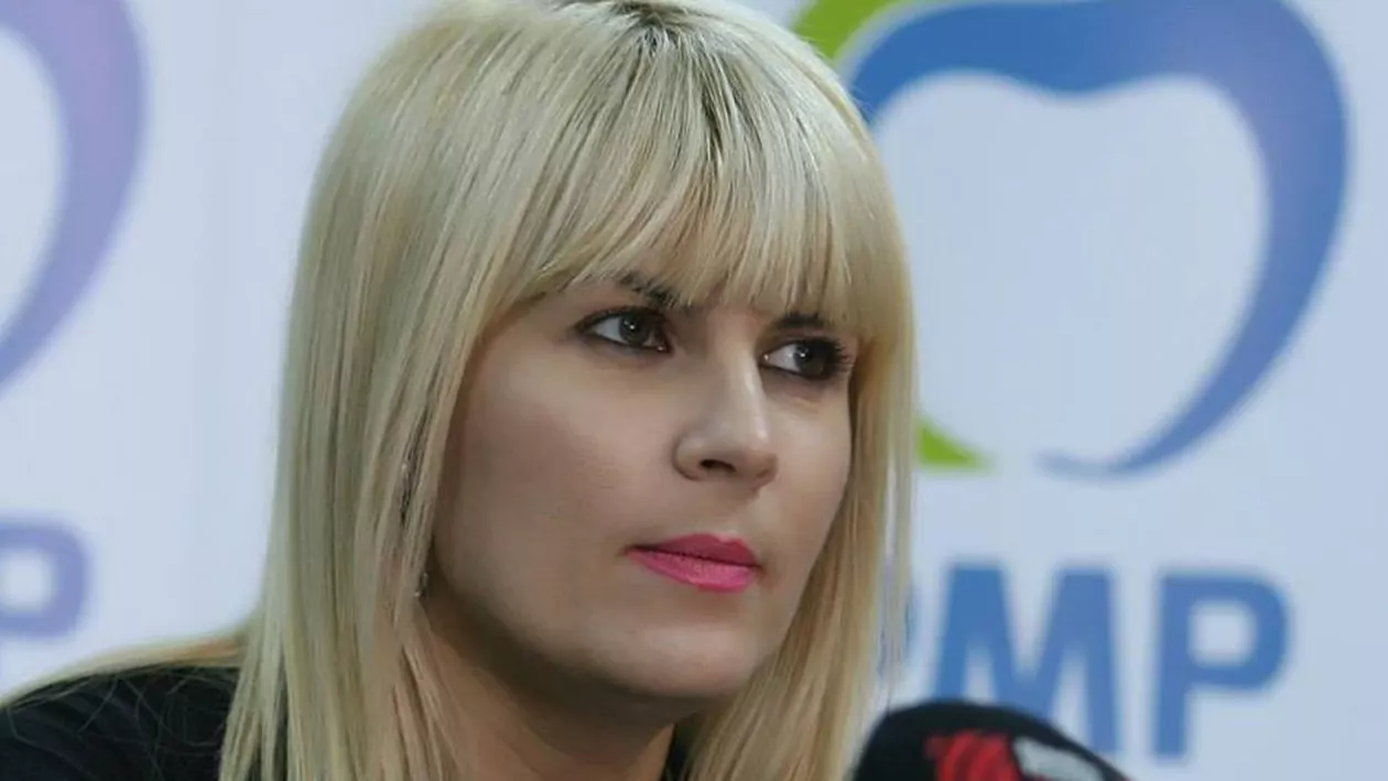PMP solicită demiterea şefului Jandarmeriei Române. Udrea: „Condamnăm instigarea la anarhie și la dezordine publică”