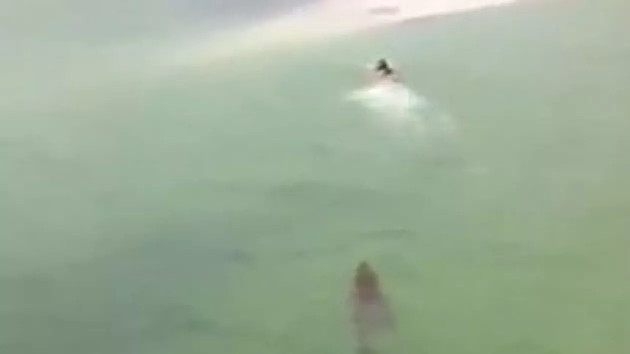 Mexic: Tânăr urmărit de un crocodil uriaș în timp ce înota (VIDEO)