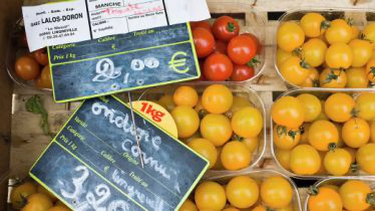 Producătorii din Uniunea Europeană vor să exporte alimente către Rusia prin Elveția