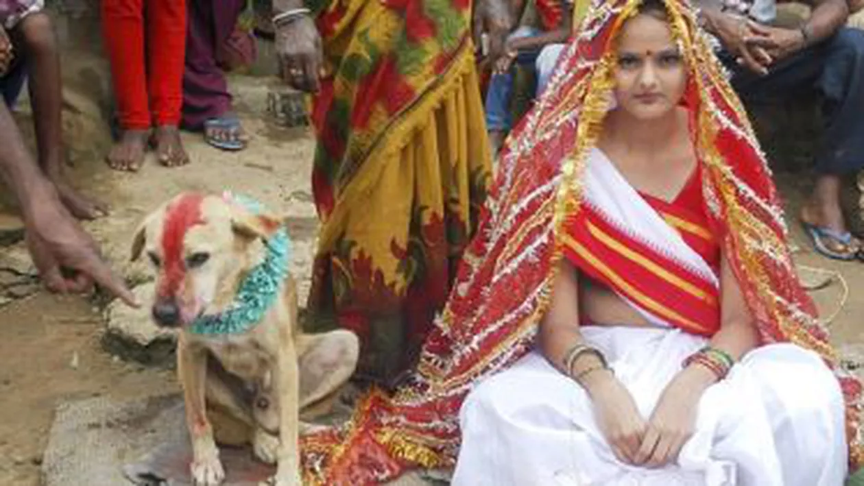 India: O tânără de 18 ani a fost obligată să se mărite cu un câine pentru a scăpa de un blestem