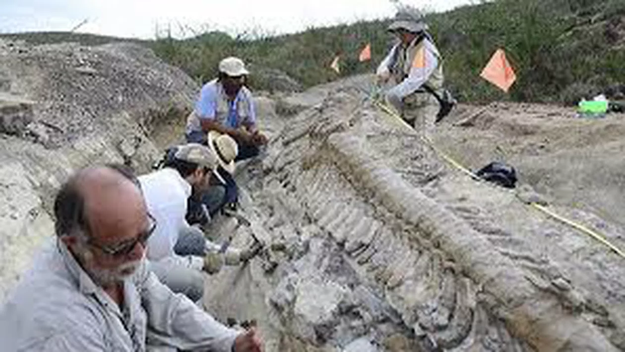 Rămăşiţele unei noi specii de dinozaur uriaş, descoperite în Tanzania