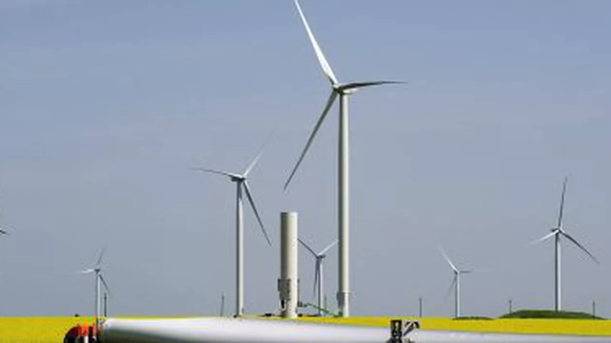 Străinii, îmbogățiți prin abuzurile lui Nicușor Constantinescu: Românii plătesc sute de milioane de euro