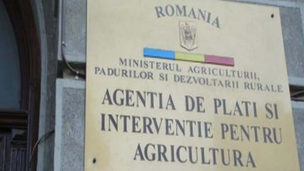 Mita de la APIA era cheltuită pe amante și concedii (VIDEO)