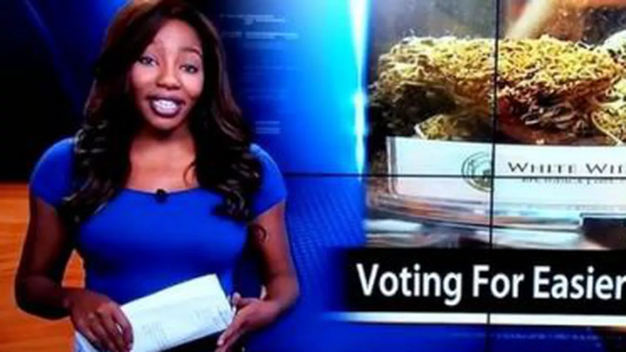 Un reporter american a mărturisit în direct că deține un club în care se fumează cannabis și apoi a anunțat că demisionează (VIDEO)