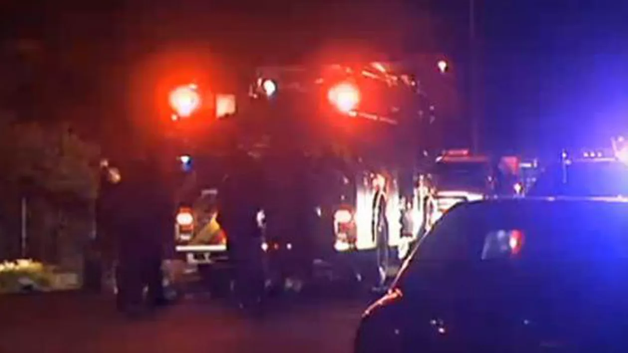 SUA: Cel puţin 41 de câini au murit într-un incendiu care a cuprins o casă din Las Vegas