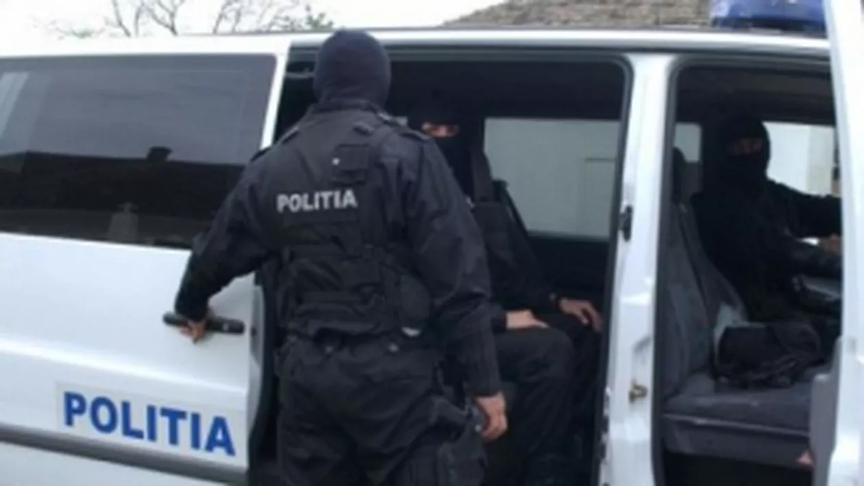 Percheziții în patru județe, la persoane suspectate că au acoperit tărieri ilegale de arbori