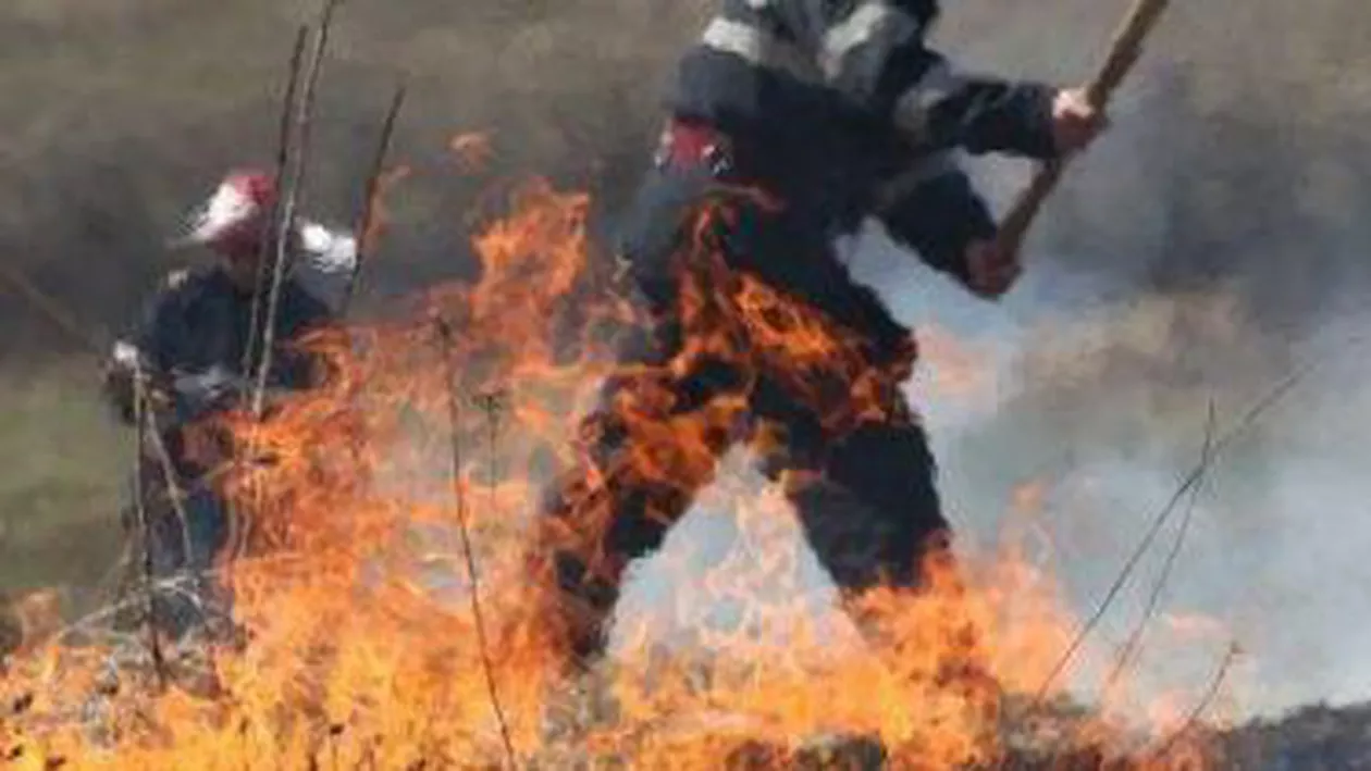 Circulație rutieră îngreunată pe autostrada București - Pitești din cauza unui incendiu de vegetație