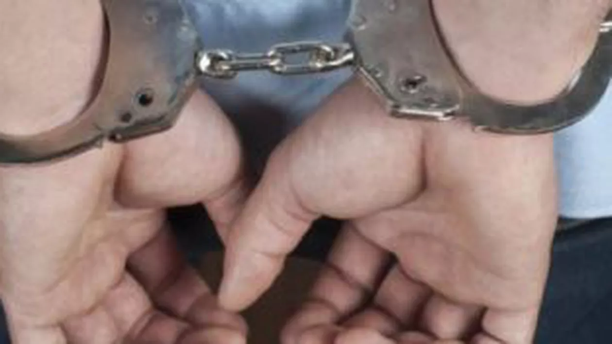 Liderul galeriei Pandurii Târgu Jiu, reținut pentru inducerea în eroare a organelor de anchetă