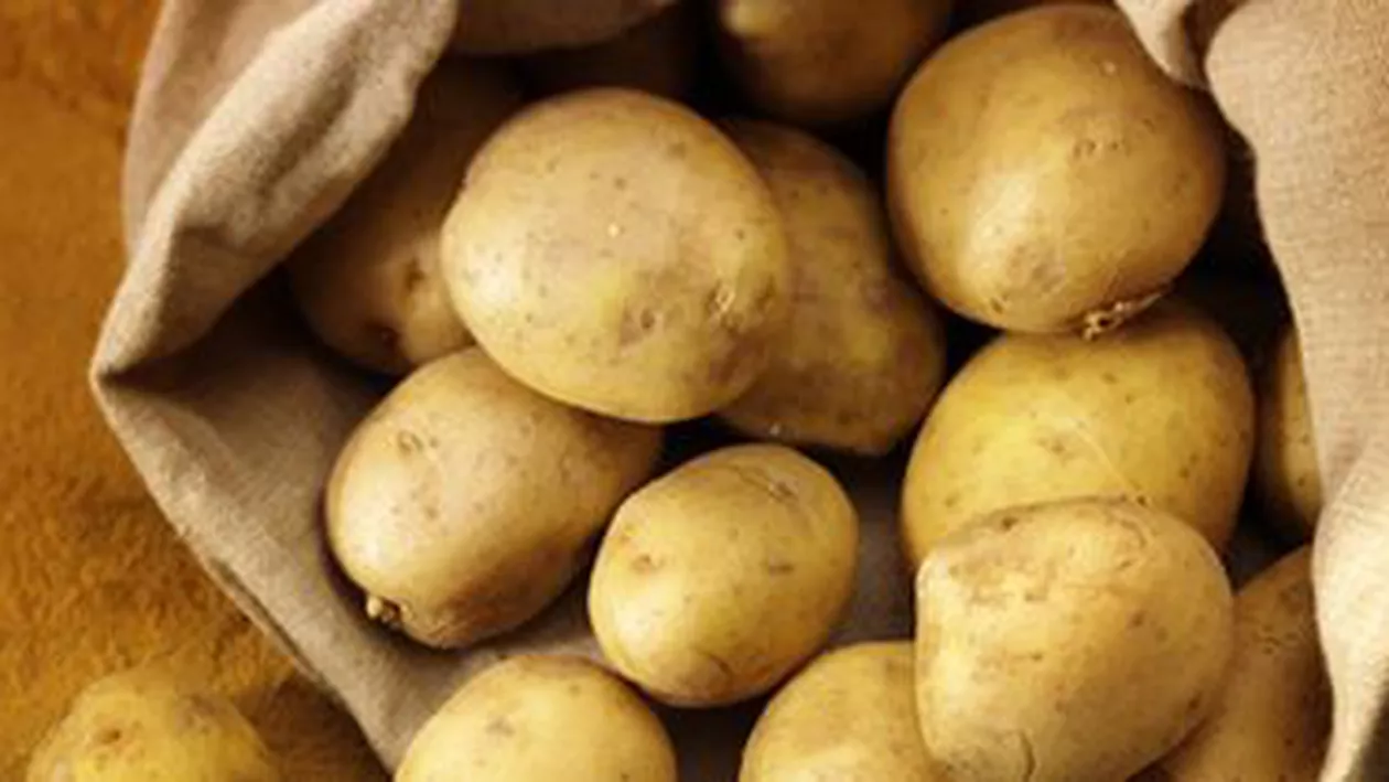 Belgia: Cinci persoane au bătut recordul mondial la curățat cartofi - 552,8 kg într-o oră