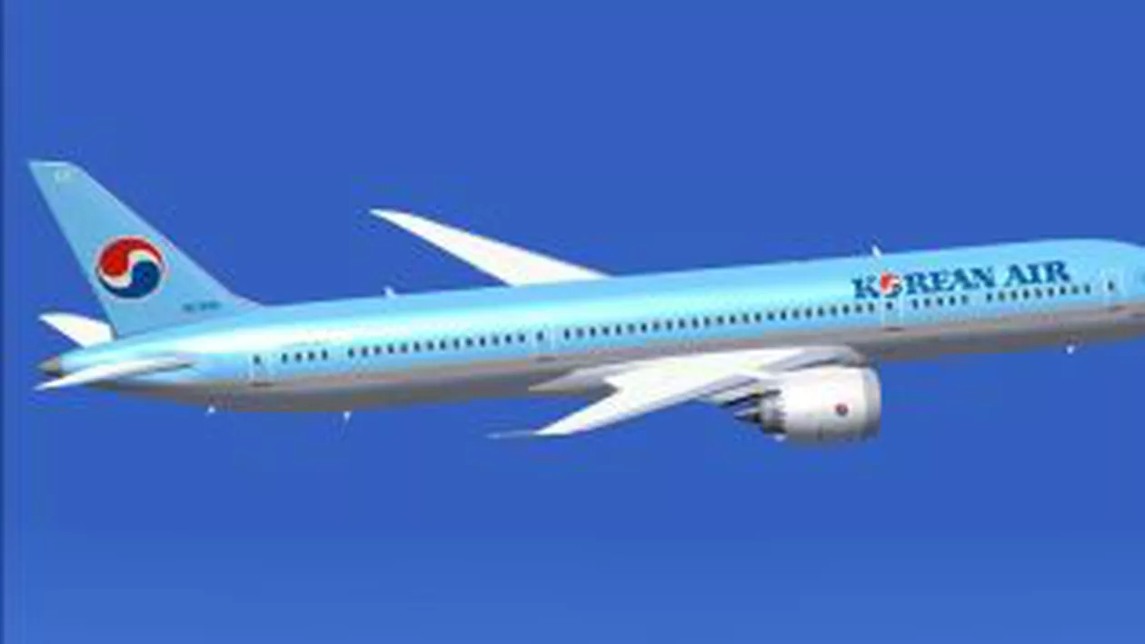Un avion al companiei aeriene Korean Air, întors din drum de fiica patronului, nemulțumită de modul de servire a aperitivului