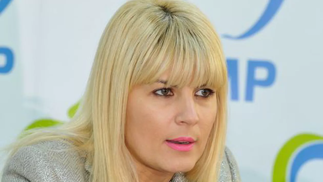 Elena Udrea, despre noul document apărut în dosarul Alinei Bica:  E normal să fie dat "pe surse" unui fost colaborator (sau actual) al Serviciilor? Nu am intervenit pentru nimeni la conducerea ANRP
