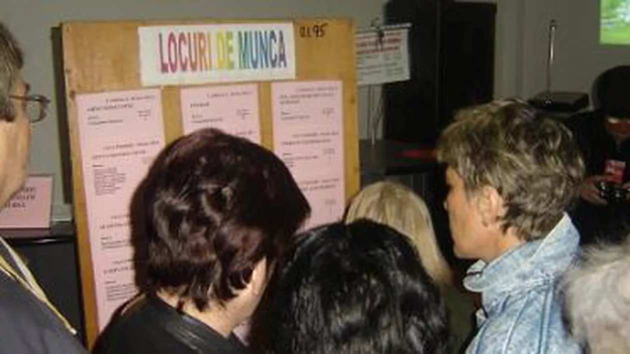 INS: Rata șomajului a scăzut la 6,5% în trimestrul al treilea