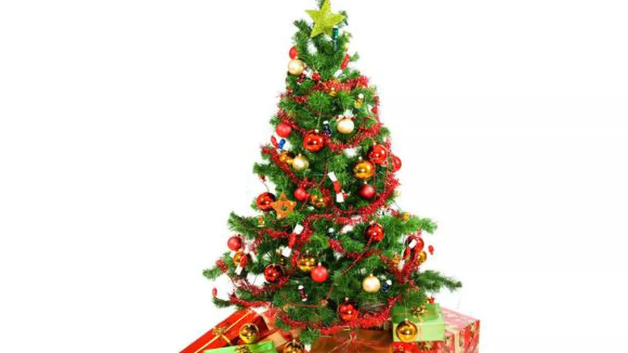 Povestea bradului de Crăciun, unul dintre cele mai importante simboluri ale Crăciunului