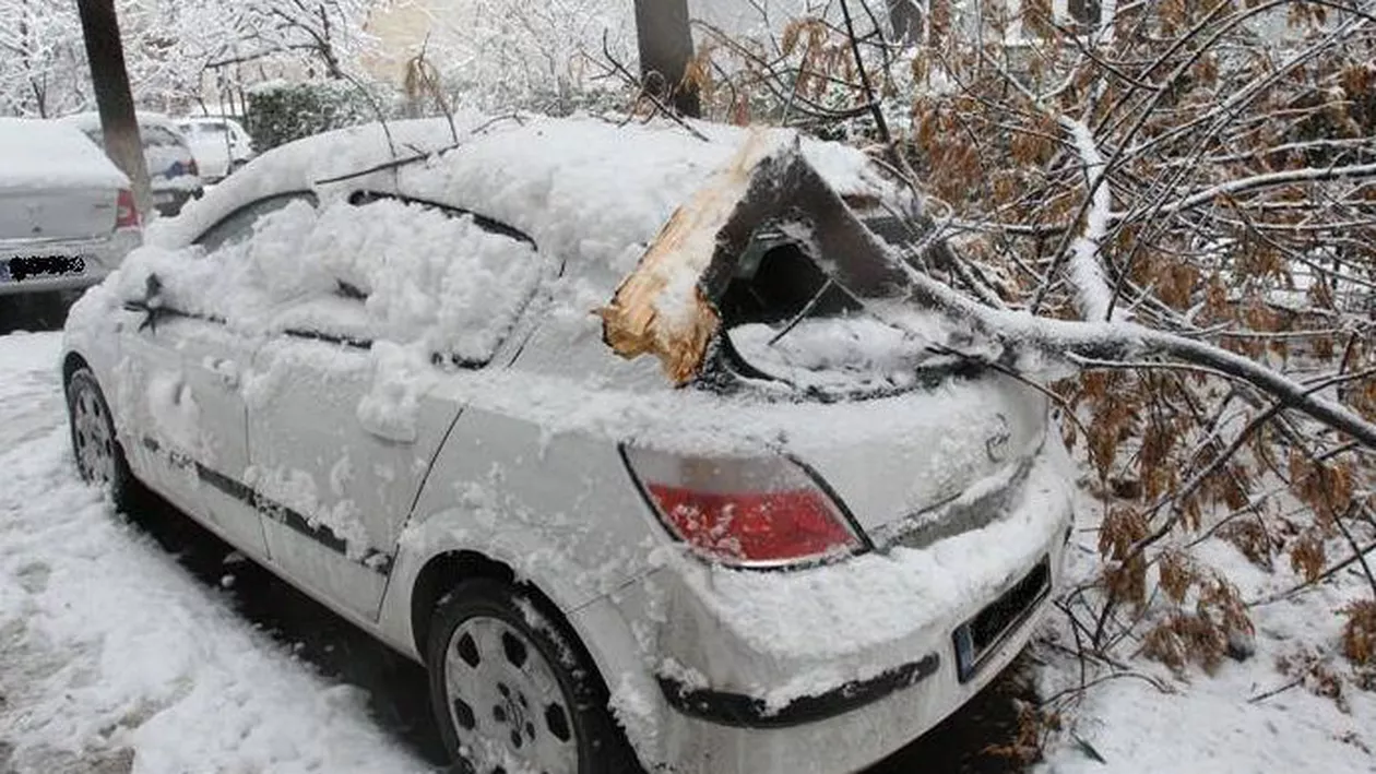 București: Aproape 60 de maşini avariate de copacii doborâţi de vânt