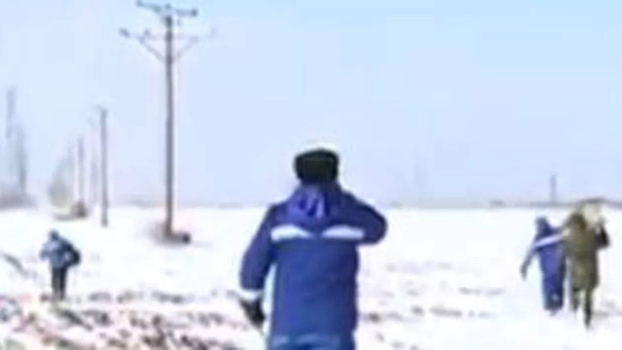Brăila: Militarii ajută echipele Electrica Muntenia să ajungă la liniile de curent rupte din cauza zăpezii