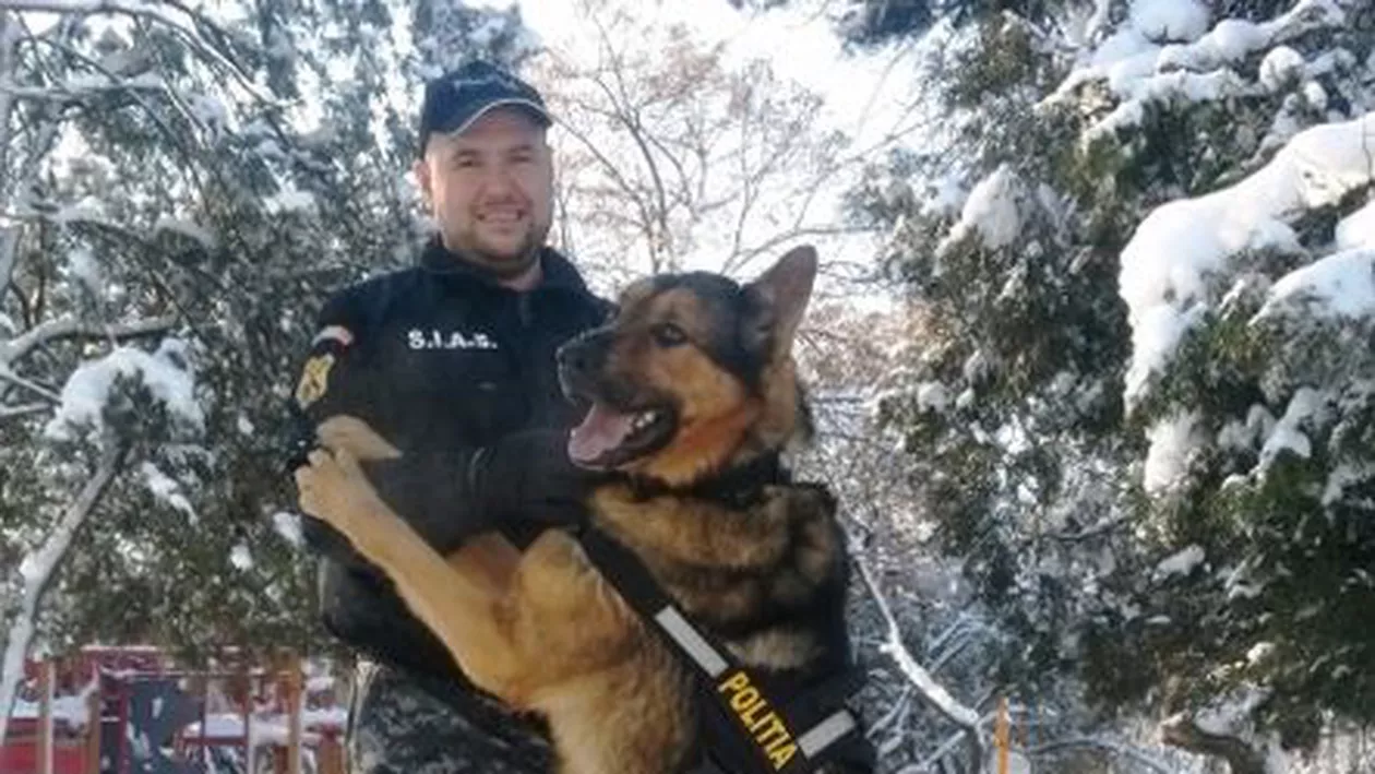 Câinele Hero, vedeta Serviciului pentru Intervenții şi Acţiuni Speciale al Poliţiei Române (VIDEO)