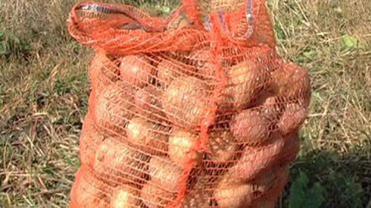 Slobozia: Angajații unui hipermarket au găsit o grenadă defensivă într-un sac de cartofi