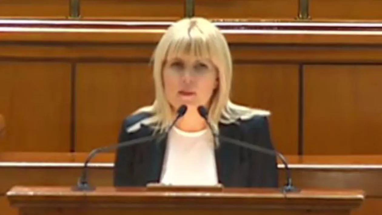 Udrea parafrazează un pastor luteran antinazist: „Dacă azi mă iau pe mine, astfel, mâine vă iau pe dumneavoastră” (VIDEO)