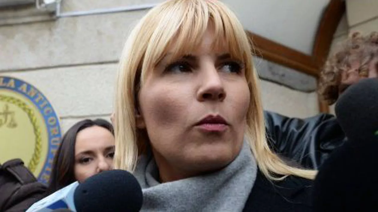 DNA: Udrea a primit 500.000 de euro în două tranșe. Boc a susținut promovarea hotărârii pentru alocarea bugetului