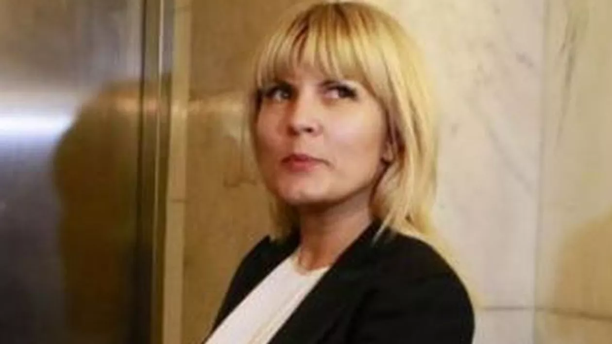DNA: Ministerul condus de Elena Udrea ar fi finanțat cu bani europeni clubul lui Ion Țiriac
