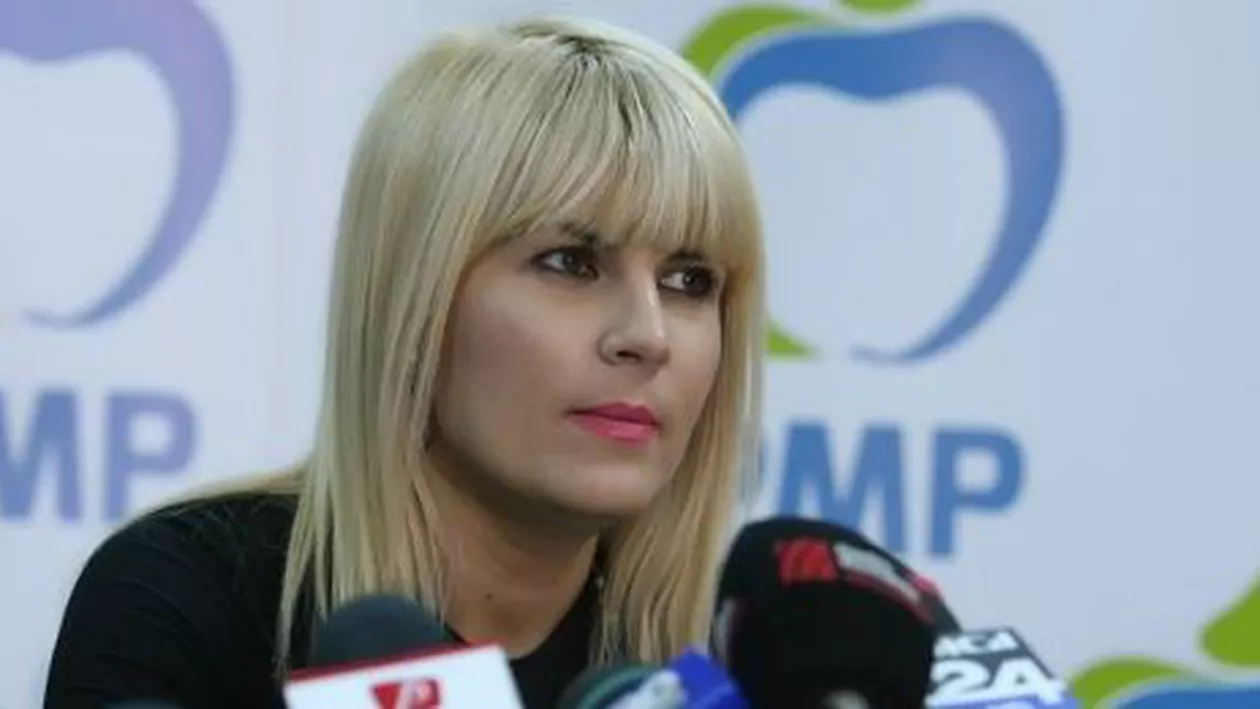 Elena Udrea, despre propunerea lui Gheorghe Muscalu de la CSM: Sunt total de acord, dar aceeași interdicție trebuie să o aibă și acuzatorul
