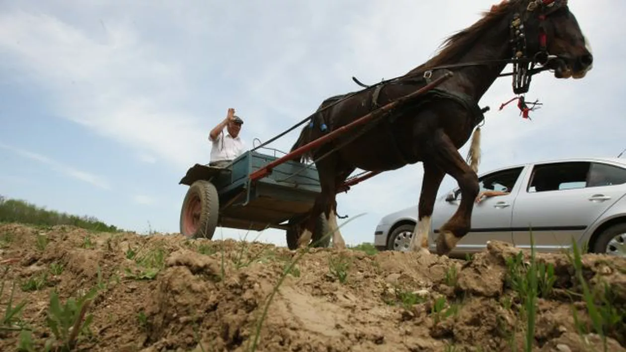 Suntem prea săraci pentru a intra în zona euro: Nivelul de trai al românilor și infrastructura precară, principalele obstacole