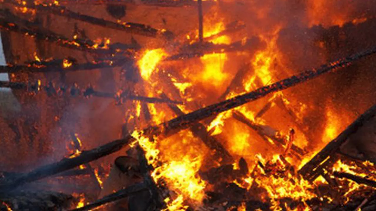 Aproximativ 4.000 de porci de la o fermă din Satu Mare au ars într-un incendiu