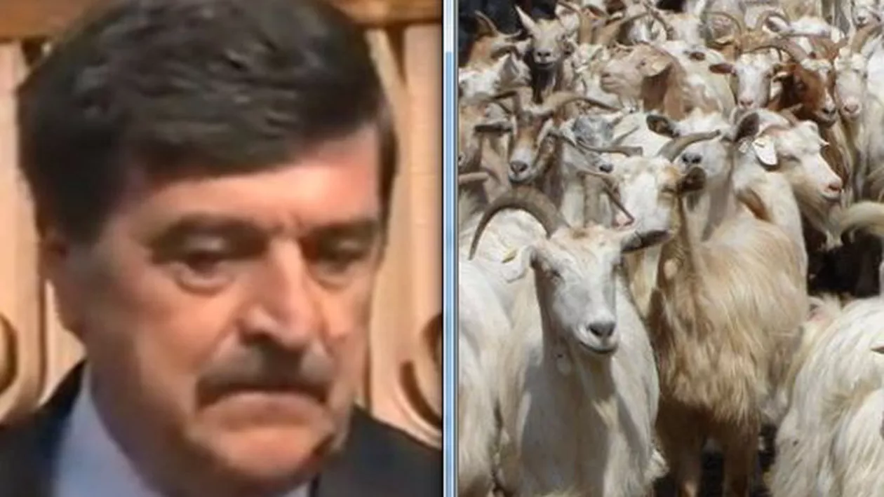Cincizeci de capre ale lui Greblă: Cum l-au făcut de bășcălie cornutele penale pe fostul judecător CCR