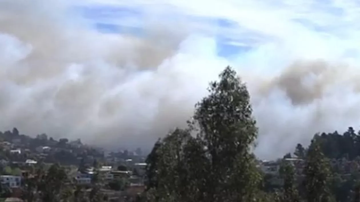 Chile: Aproximativ 4.500 de persoane au fost evacuate în urma unui incendiu de vegetație