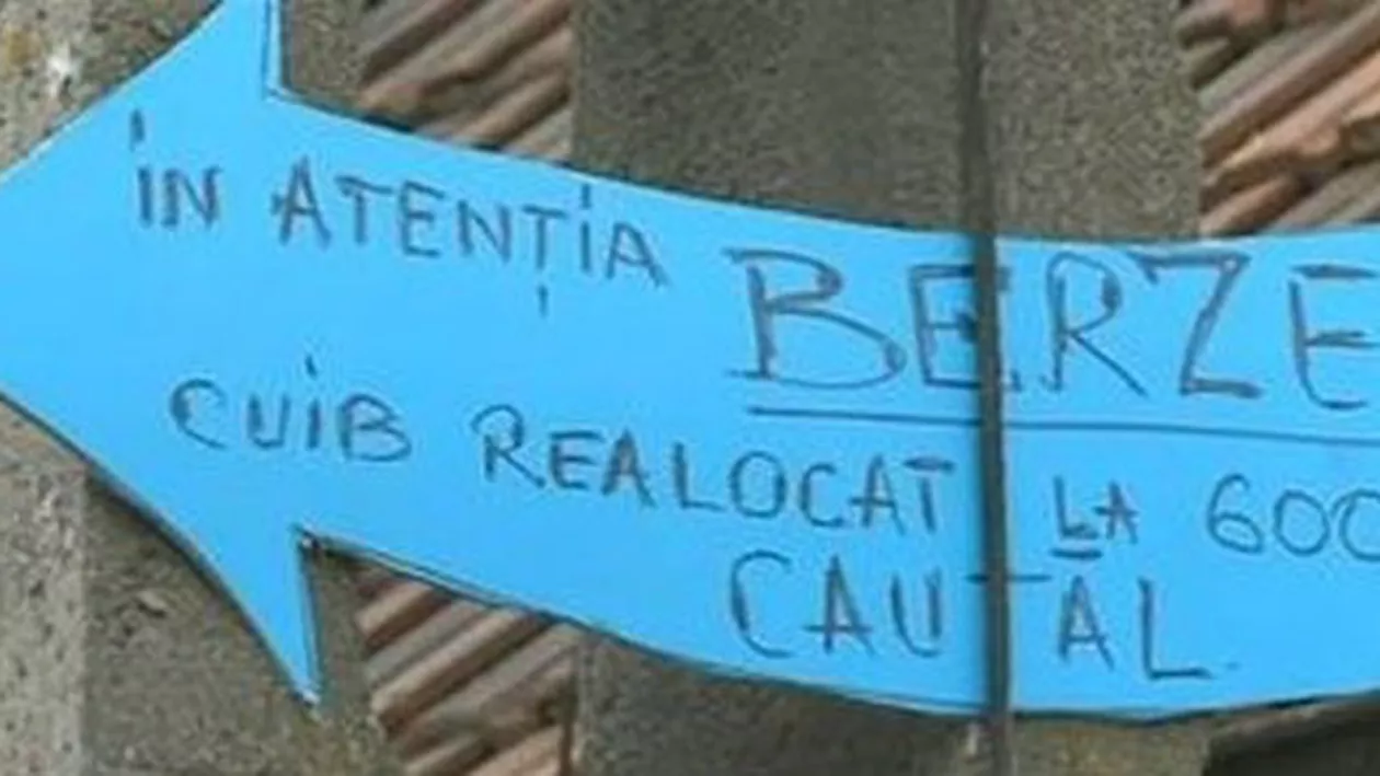 Epopeea berzei continuă: Înaripata nu vrea cuib de la minister și se întoarce la vechiul stâlp