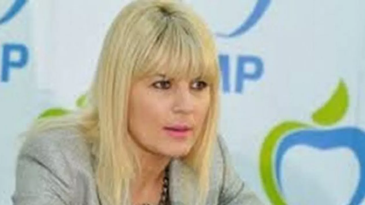 Elena Udrea: Elementele invocate în cererea DNA, trunchiate