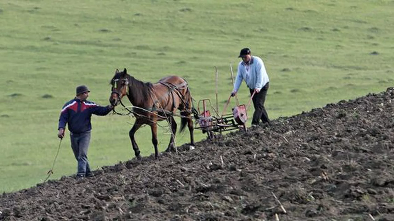 Un irlandez care locuiește de peste 20 de ani în România a trimis o scrisoare către comisarul european pentru agricultură: România este ţara ultimei civilizaţii rurale autentice a Europei