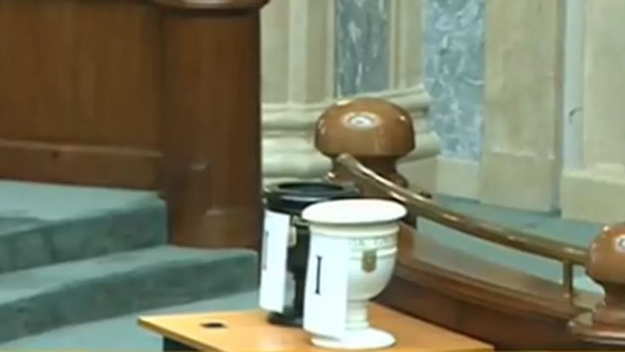 Cazul Vâlcov va fi votat în Senat cu majoritate simplă