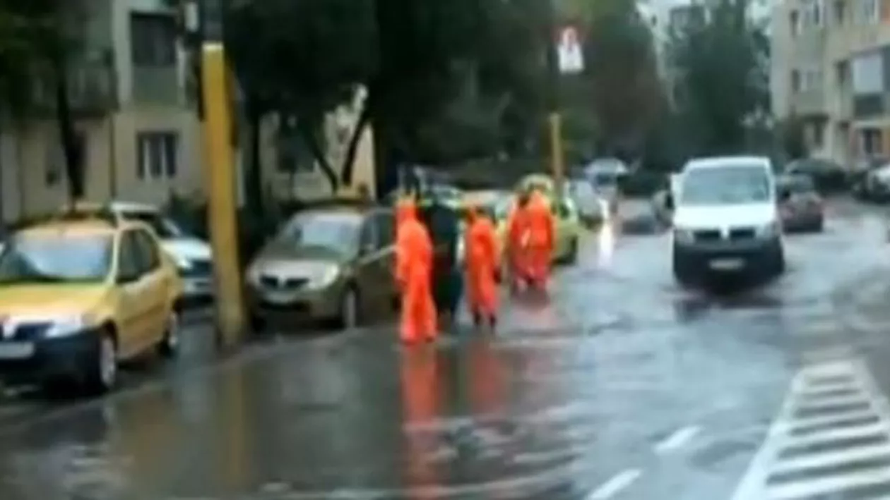 Copaci puși la pământ de vântul puternic: Vremea a făcut ravagii în Constanța (VIDEO)