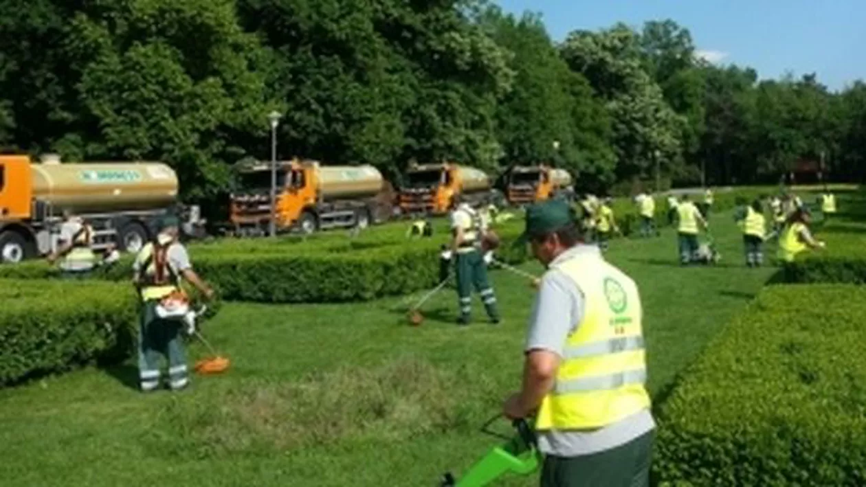 Risipă de bani în sectorul 6 din București: Primăria oferă aproximativ 700.000 de euro pentru curățenia cartierului Constantin Brâncuși