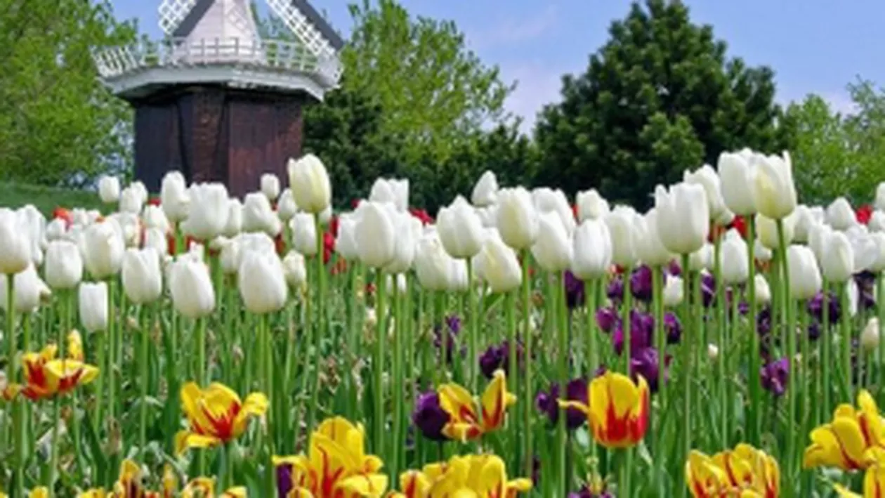 ANM: De Paști, vremea va fi frumoasă la nivelul întregii țări. Nopțile pot fi mai reci decât în mod normal