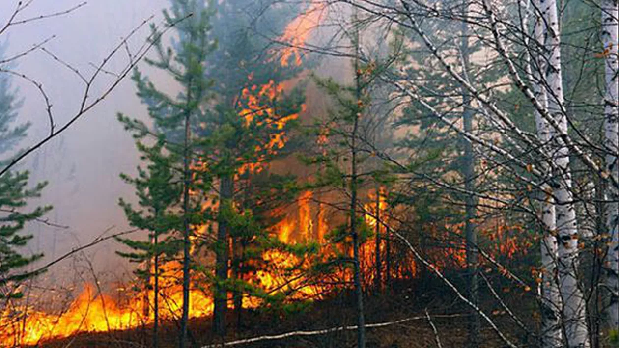 Incendiile de vegetaţie care afectează Siberia s-au extins până în nordul Chinei
