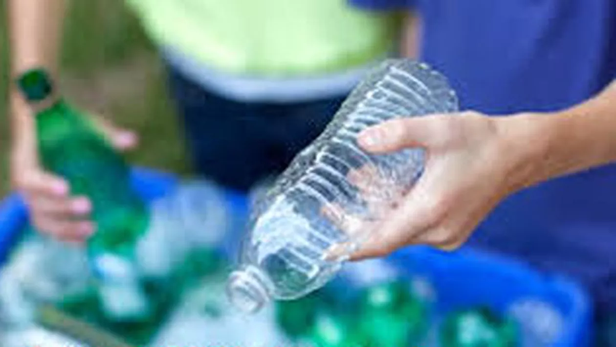 Noua fabrică de diplome: statul obligă firmele să angajaze specialiști în deșeuri