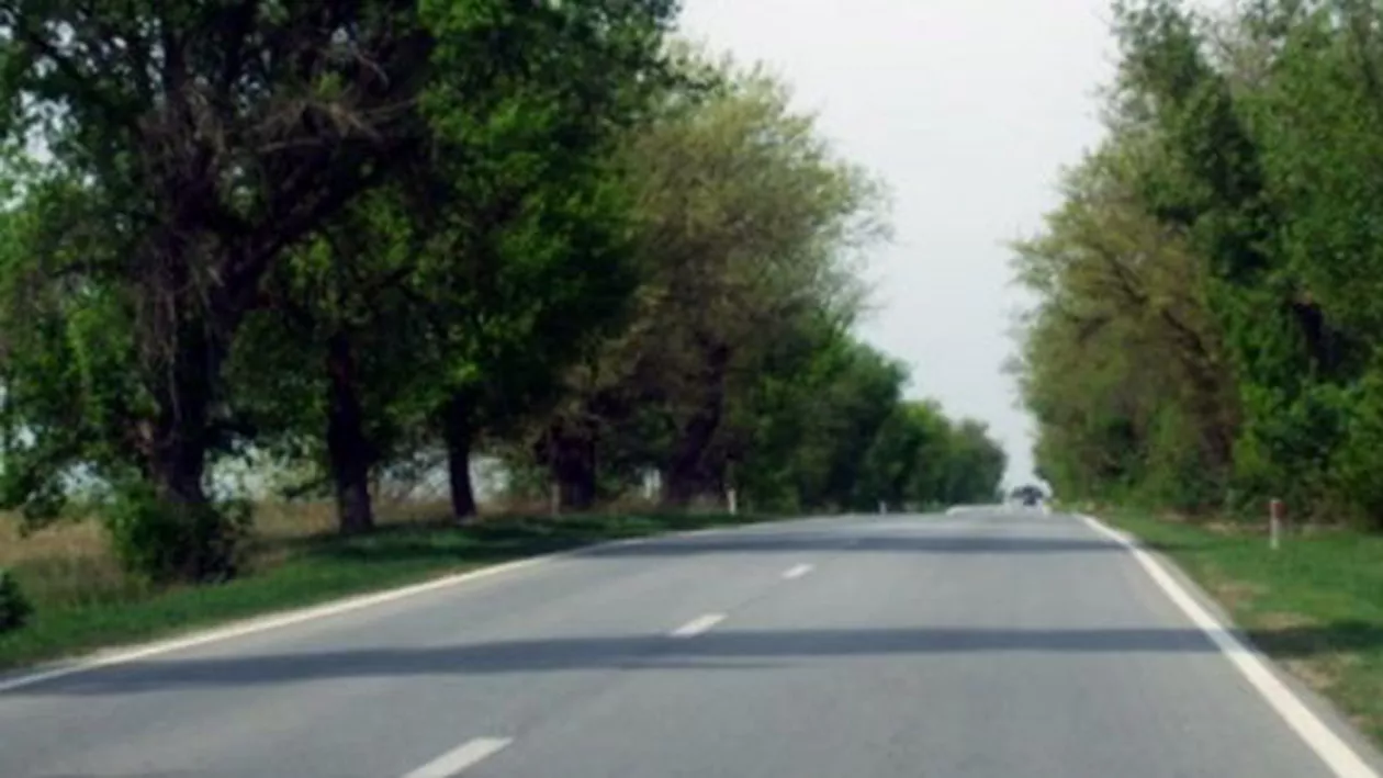 INS: Lungimea drumurilor publice a crescut în 2014 cu 475 kilometri