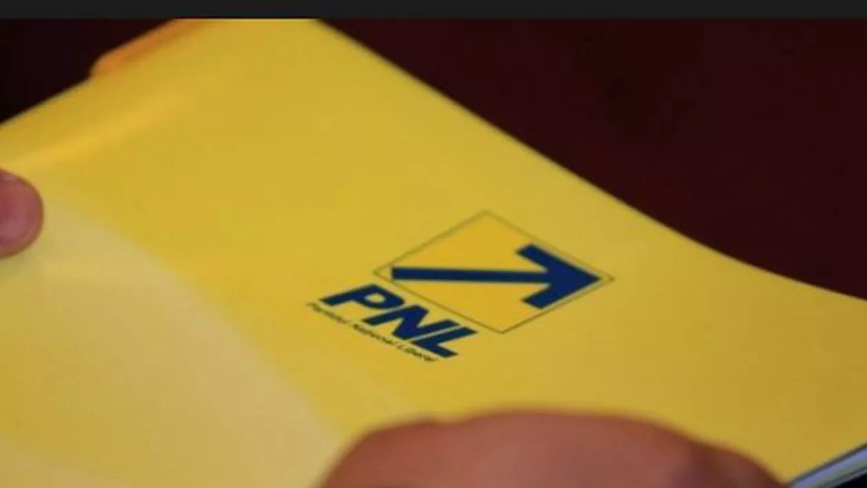 PNL, prima reacție după ce CCR a decis că hotărârea în cazul lui Dan Șova este neconstituțională: Tăriceanu trebuie să demisioneze