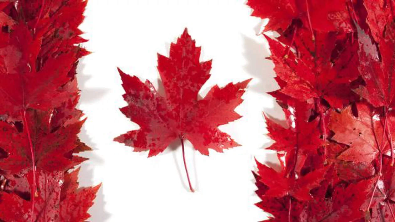Parlamentarii canadieni votează o lege care extinde puterile serviciilor secrete