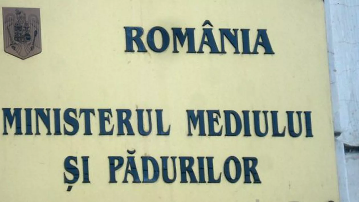 Ministerul Mediului a declanşat un control la Holzindustrie Schweighofer. Reprezentanții companiei: Nu prelucrăm lemn fără documente de provenienţă legală
