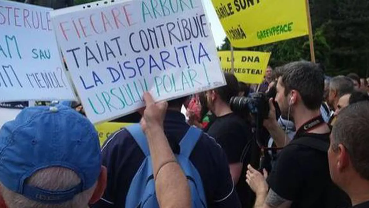 Brașov: Peste 700 de persoane au protestat faţă de tăierile ilegale de păduri