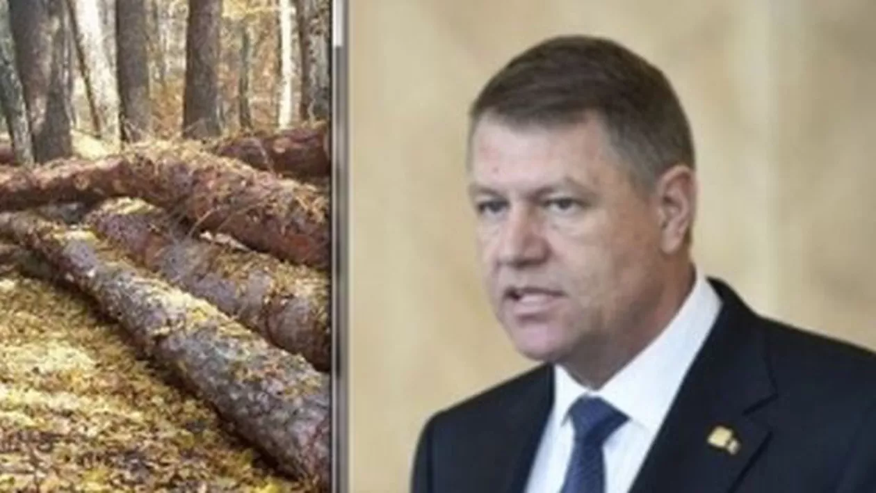 Klaus Iohannis și PNL propun modificări controversate la Codul Silvic