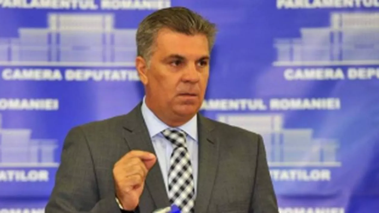Holzindustrie Schweighofer i-a scris lui Zgonea despre modificarea Codului Silvic: "Va avea un impact negativ asupra tratatului bilateral de investiţii dintre Austria şi România"