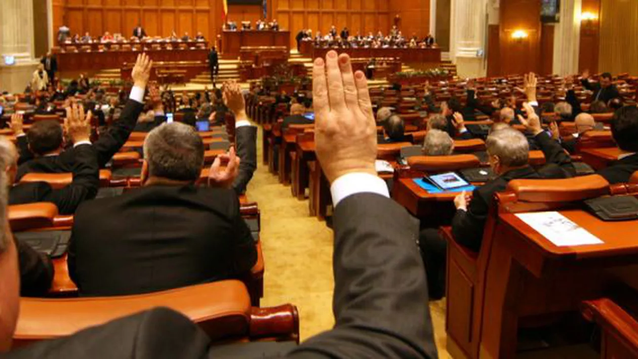 Deputații vor da miercuri votul final pentru Codul Silvic