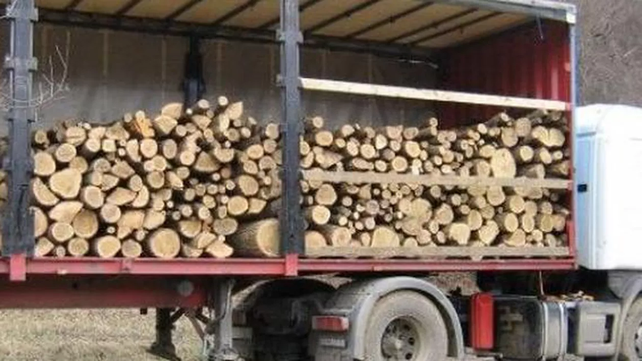 Suspendarea exportului de lemne va fi promovată prin lege