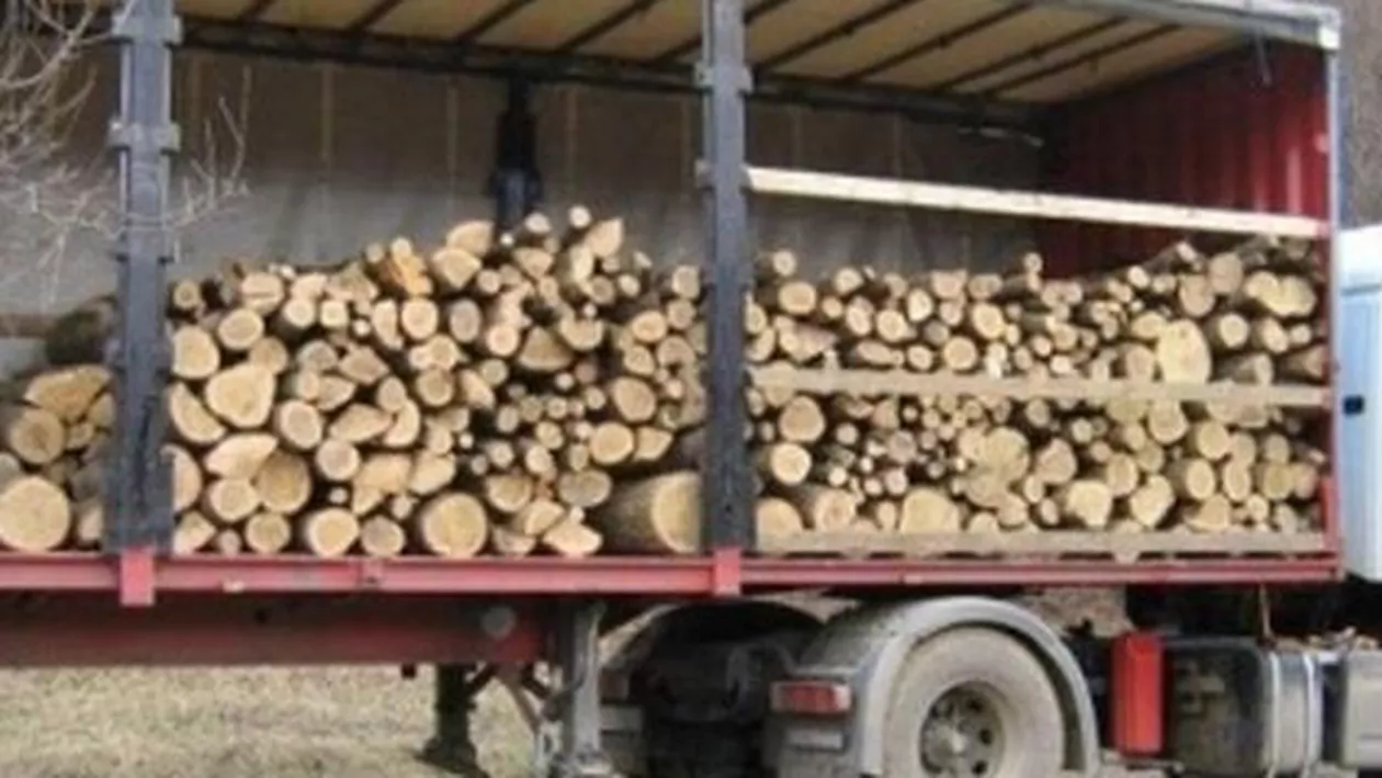 Guvernul a adoptat proiectul de lege privind limitarea exporturilor de lemn (VIDEO)