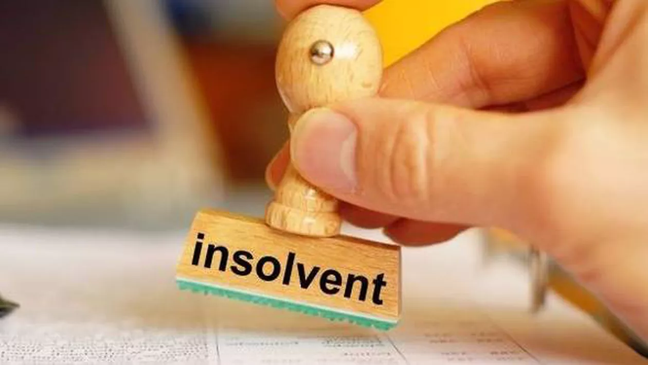 Camera Deputaților a adoptat Legea insolvenţei persoanelor fizice