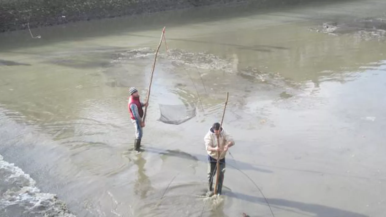 Bărbați prinși în timp ce pescuiau ilegal în Dâmbovița, profitând de nivelul scăzut al apei